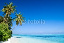 Fotomural